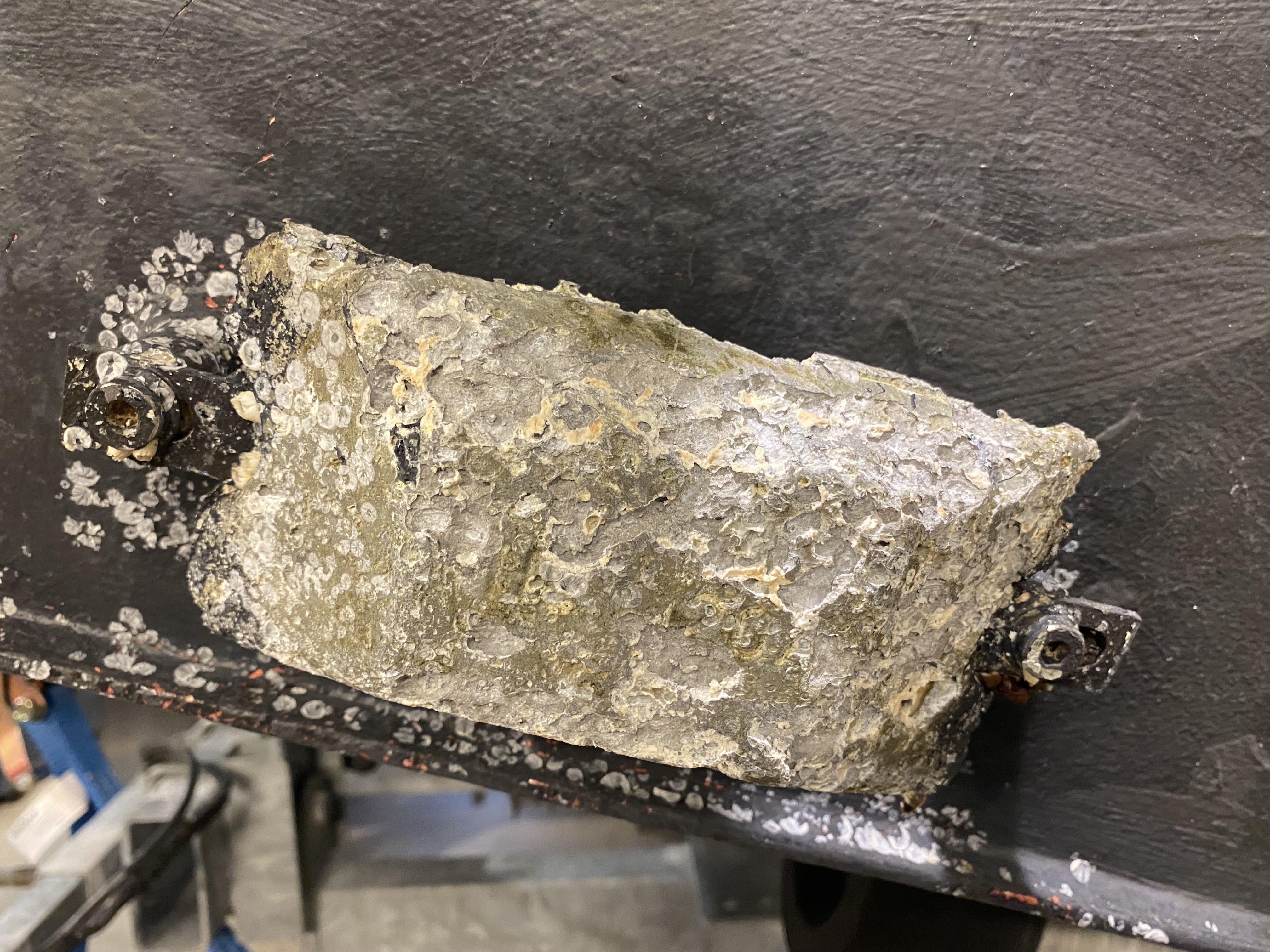 Anoden bør byttes når den har krympet til ca. 1/3 eller 1/2 av opprinnelig størrelse.  – Denne ville jeg byttet i år! sier båtmann Odd Harald Pedersen