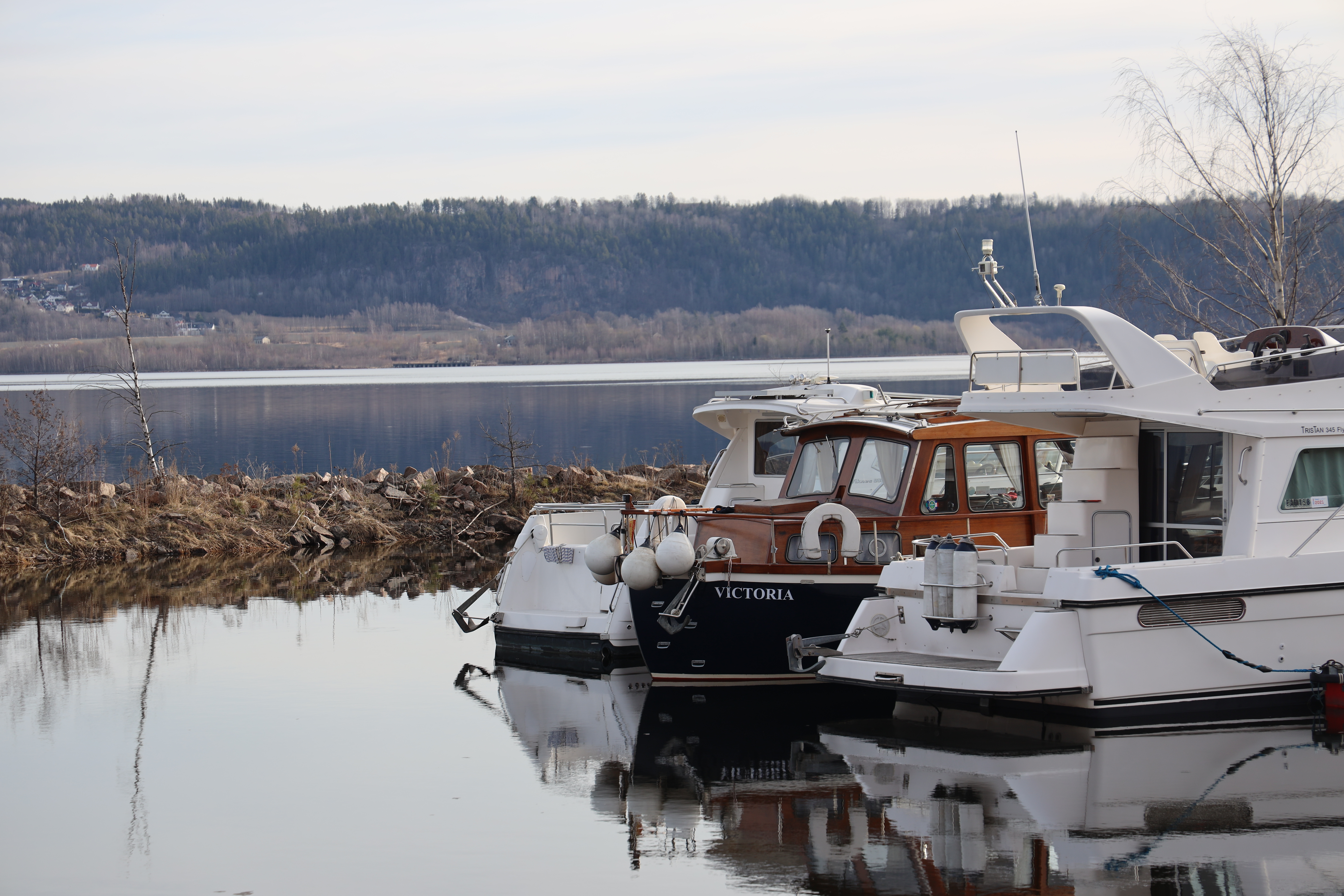 En litt kald Victoria uten master på båthavna i Drammen.