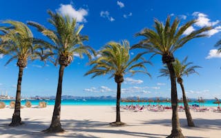 Alcudia - den ultimate familieferien på Mallorca