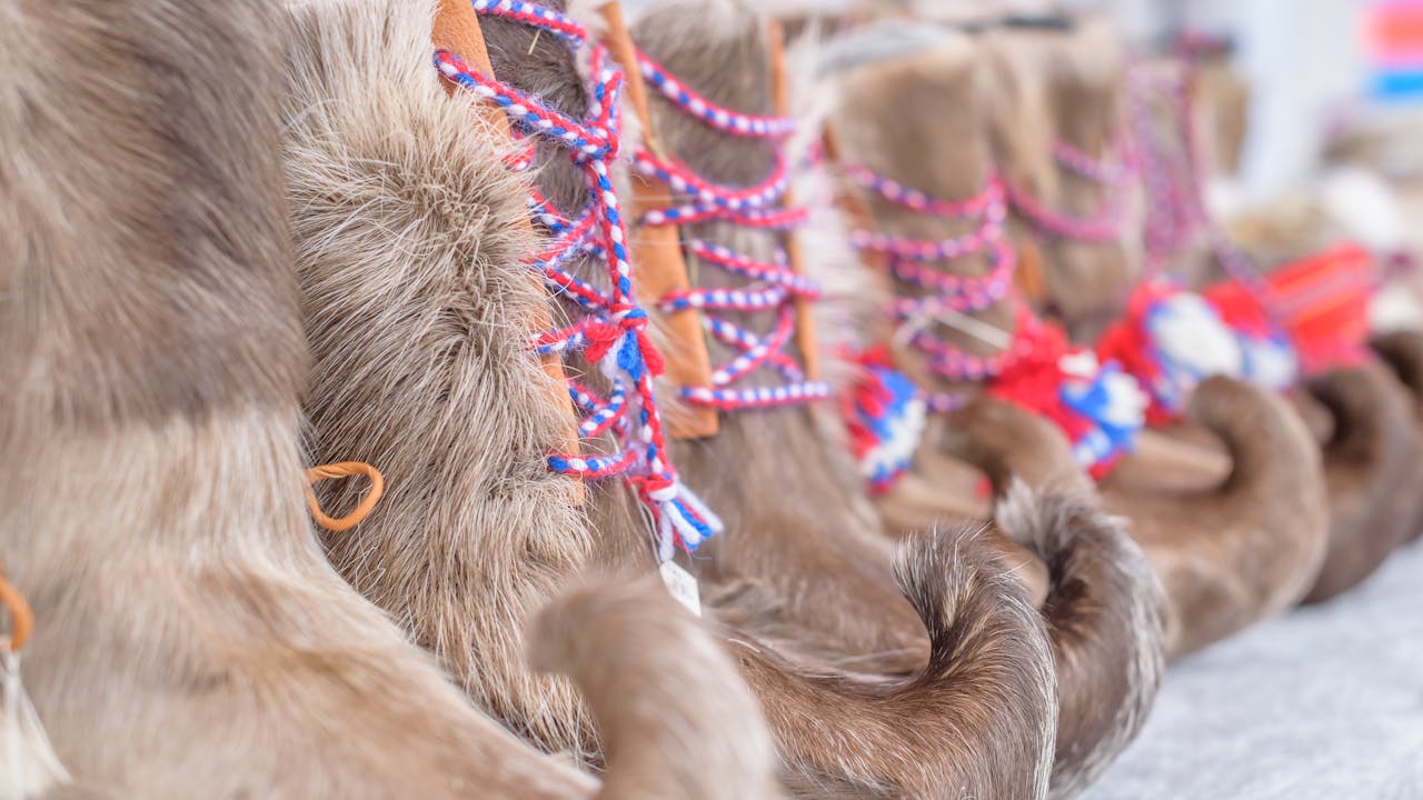Opplev samisk kultur i Alta