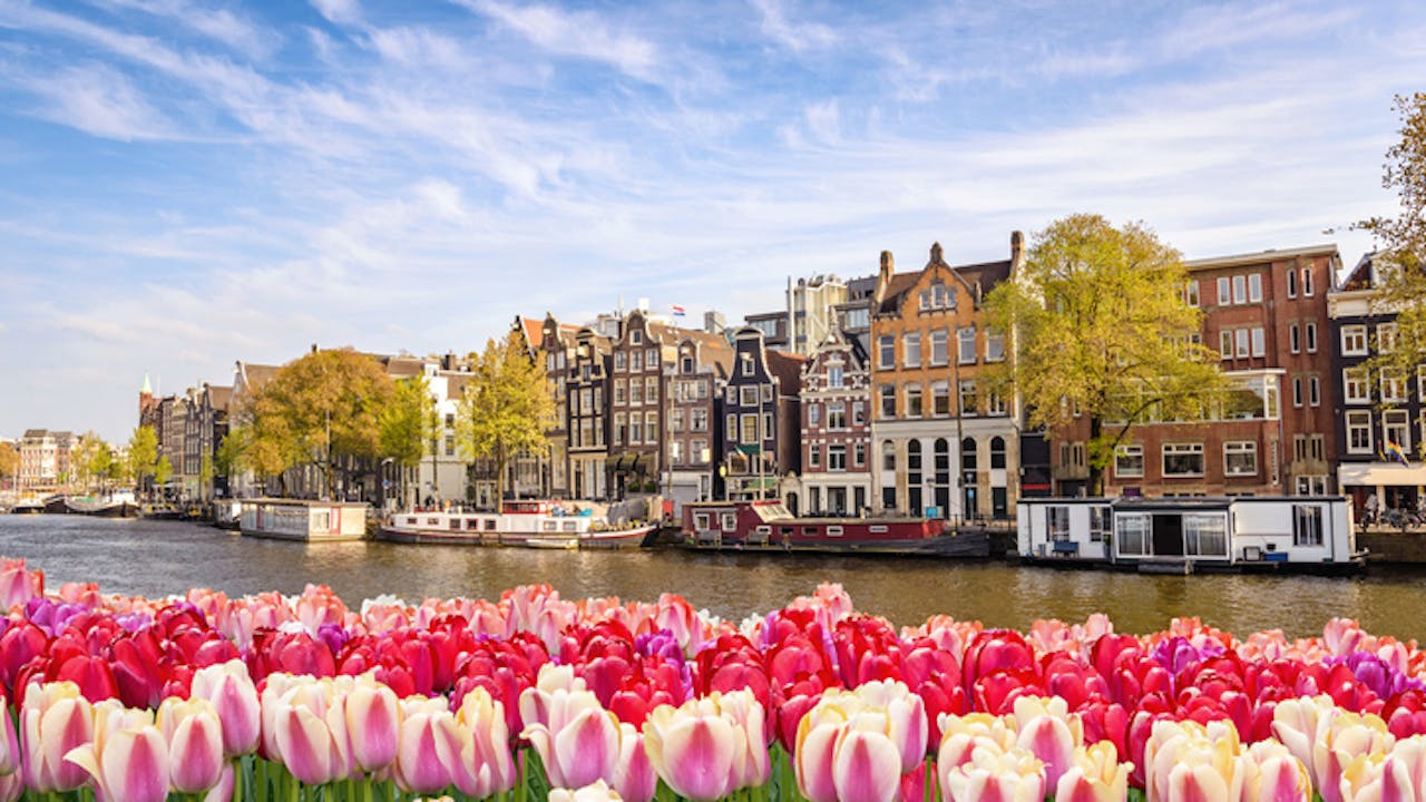 Amsterdam reisetips - tulipaner, shopping og matopplevelser