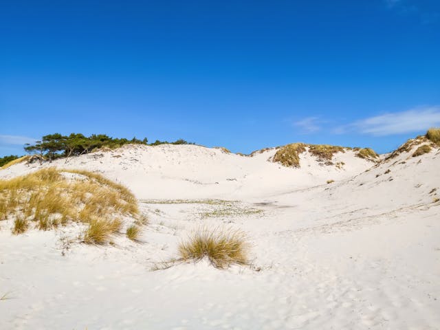 Fantastiske sanddyner på Dueodde, Bornholm - Foto: Getty Images