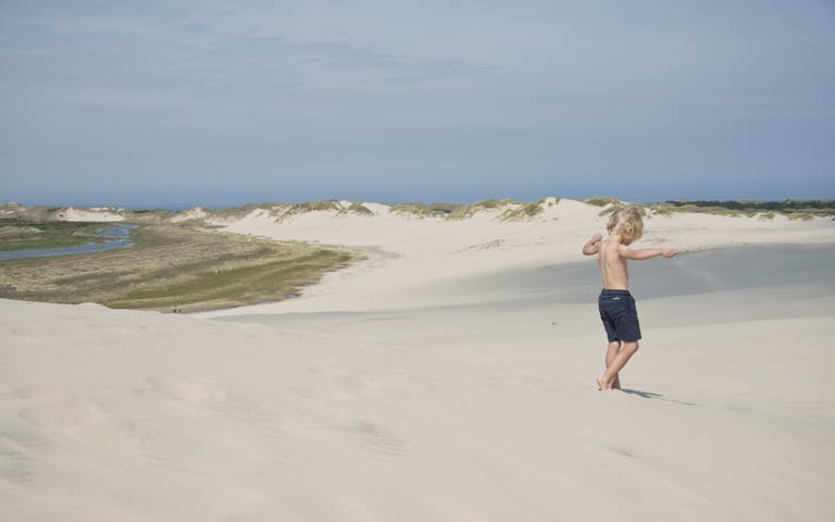 Herlige sanddyner på Råbjerg Mile nær Frederikshavn - Foto: Getty Images