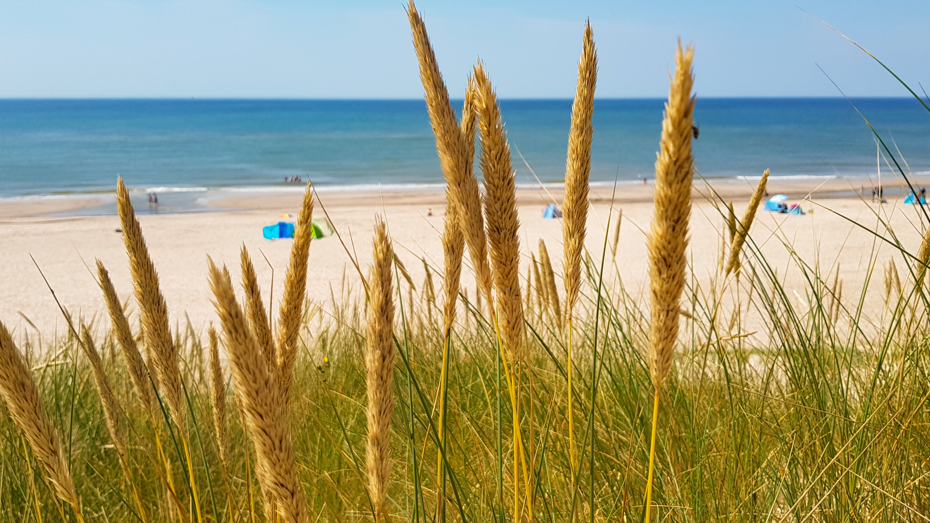 Praktfulle strender i Hvide Sande -
Foto: Getty Images
