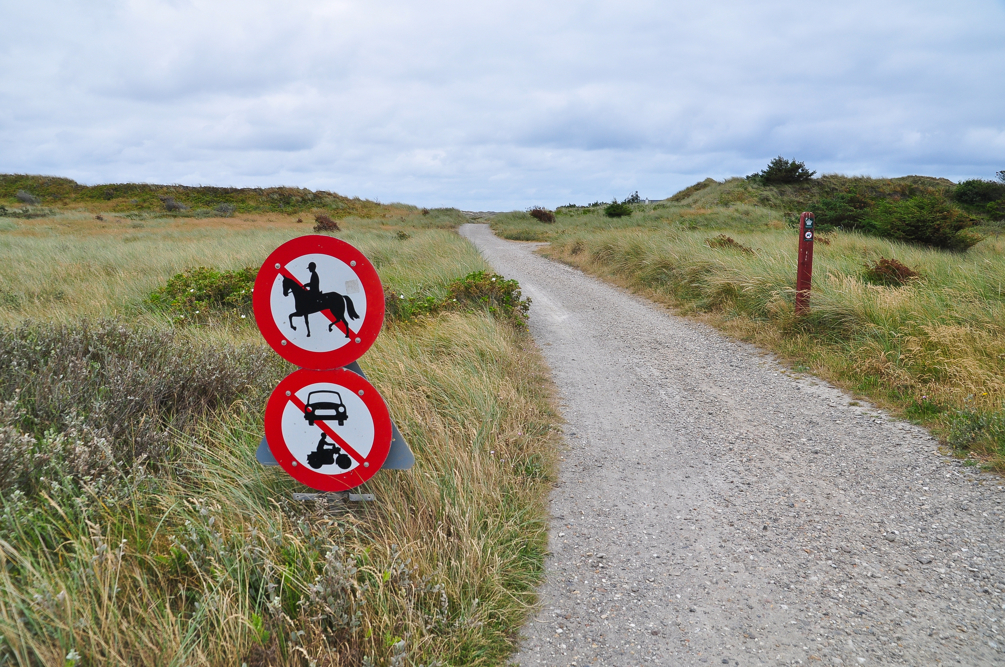 Ikke lov med motoriserte kjøretøy, kun for gående, Danmark - Foto: Getty Images