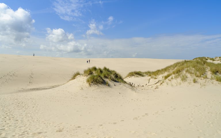 Råbjerg Mile - den største sanddyna ved Skagen i Danmark - Foto: Getty Images