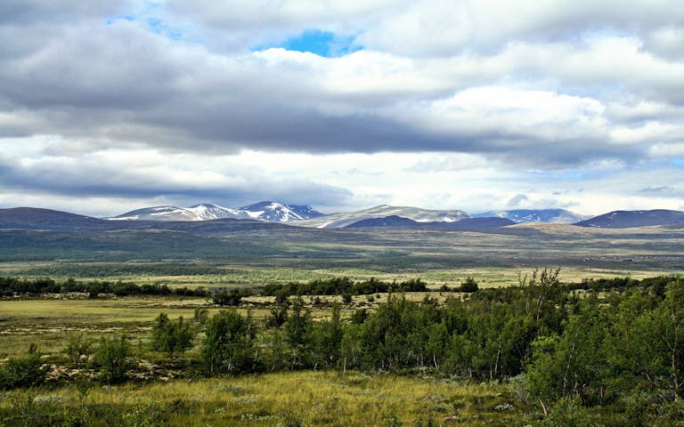 Fantastisk natur på Dovrefjell - 
Foto: Getty Images