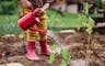 Barn med røde støvler vanner plante