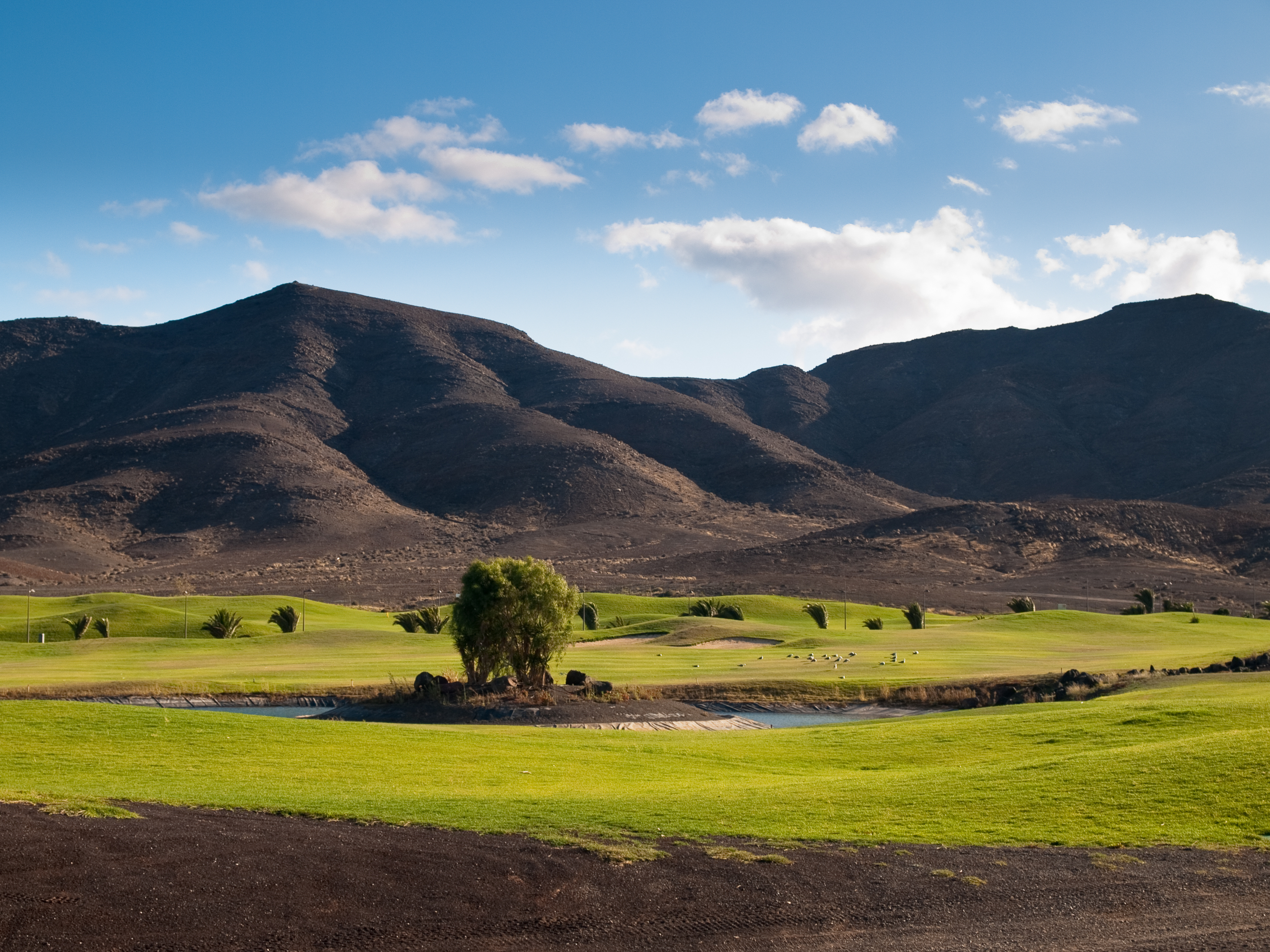 Las Playitas golfbane på Fuerteventura - Foto: Getty Images