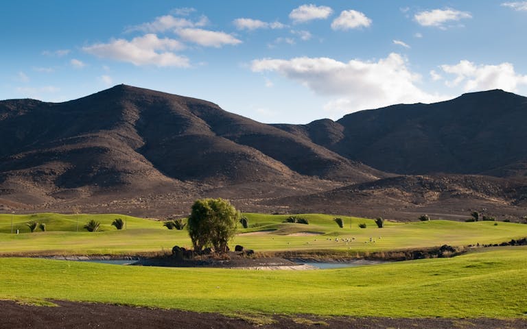 Las Playitas golfbane på Fuerteventura - Foto: Getty Images