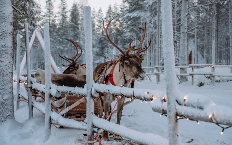 photo Julenissens Landsby Finland opplev finland nordlyset og