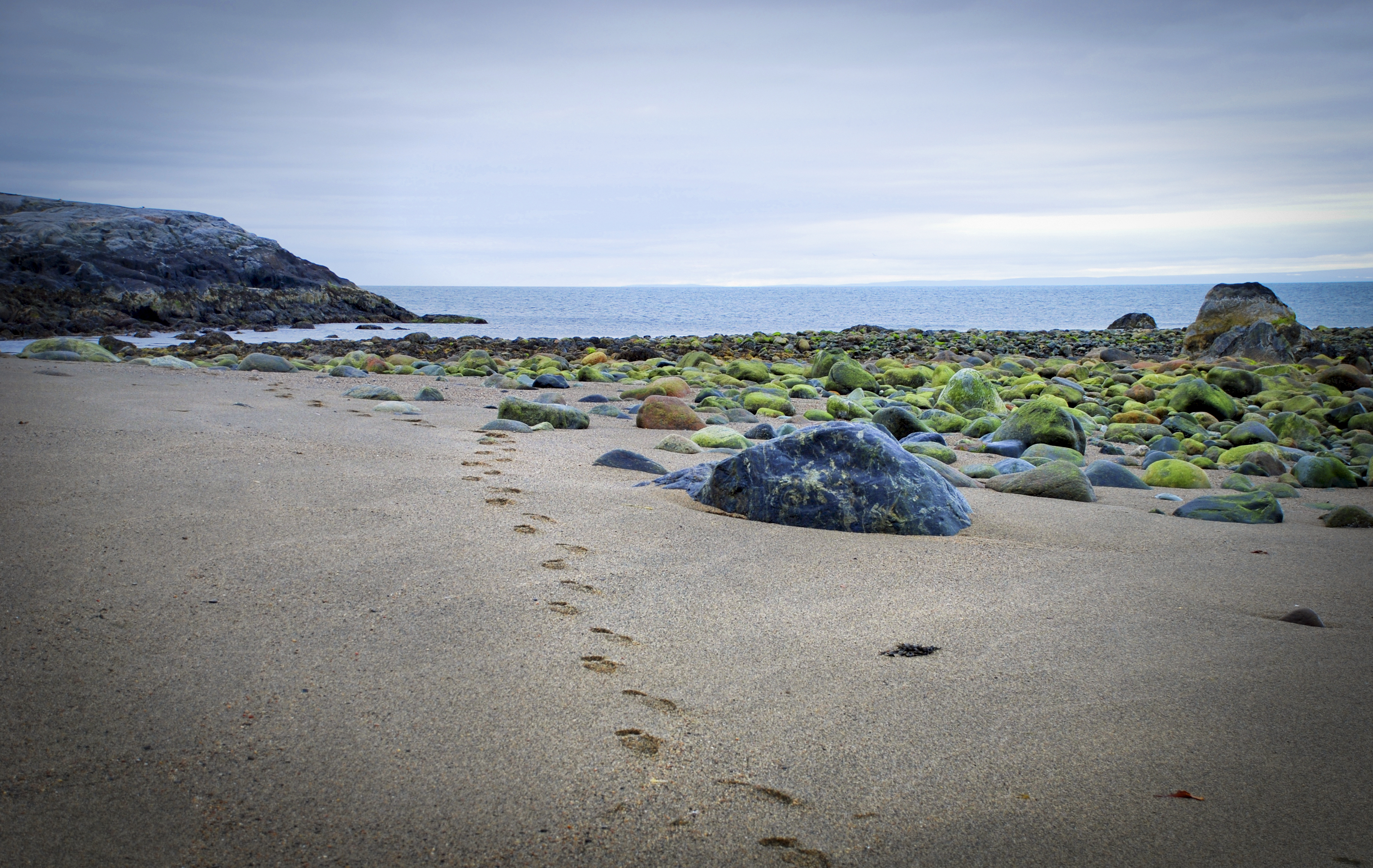 Utsikt mot Barentshavet ved Grense Jakobselv i Finnmark - Foto: Getty Images