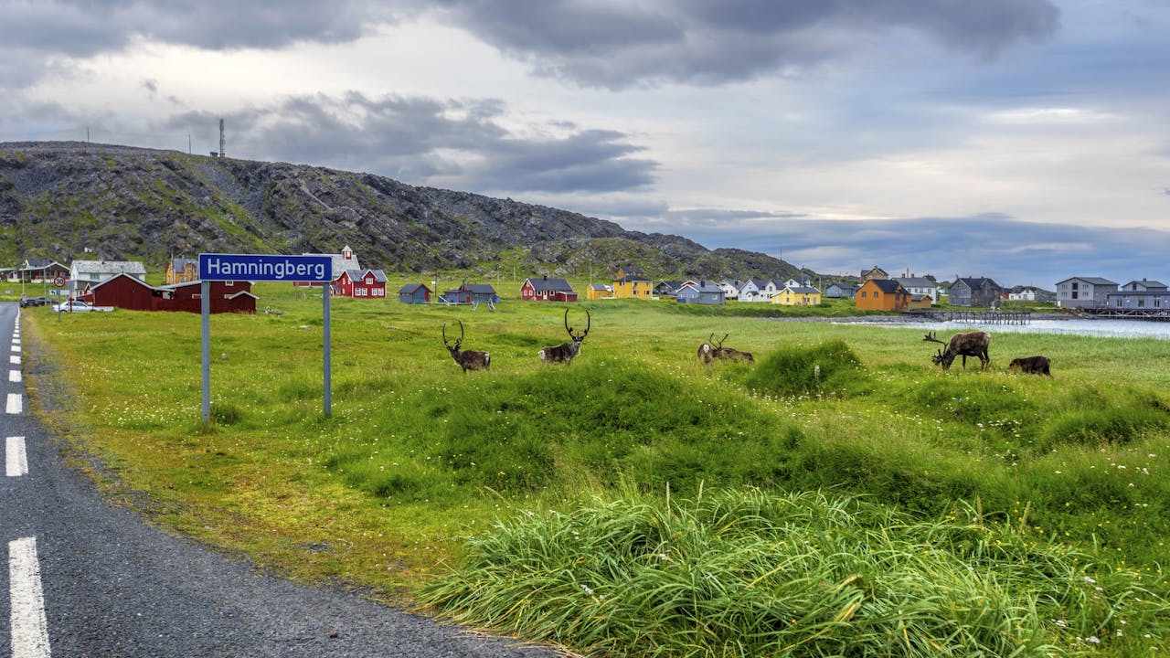 Varanger - opplev Norges nordligste nasjonale turistveg