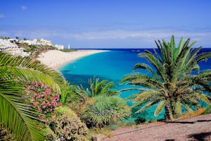 Reisetips til Fuerteventura på Kanariøyene