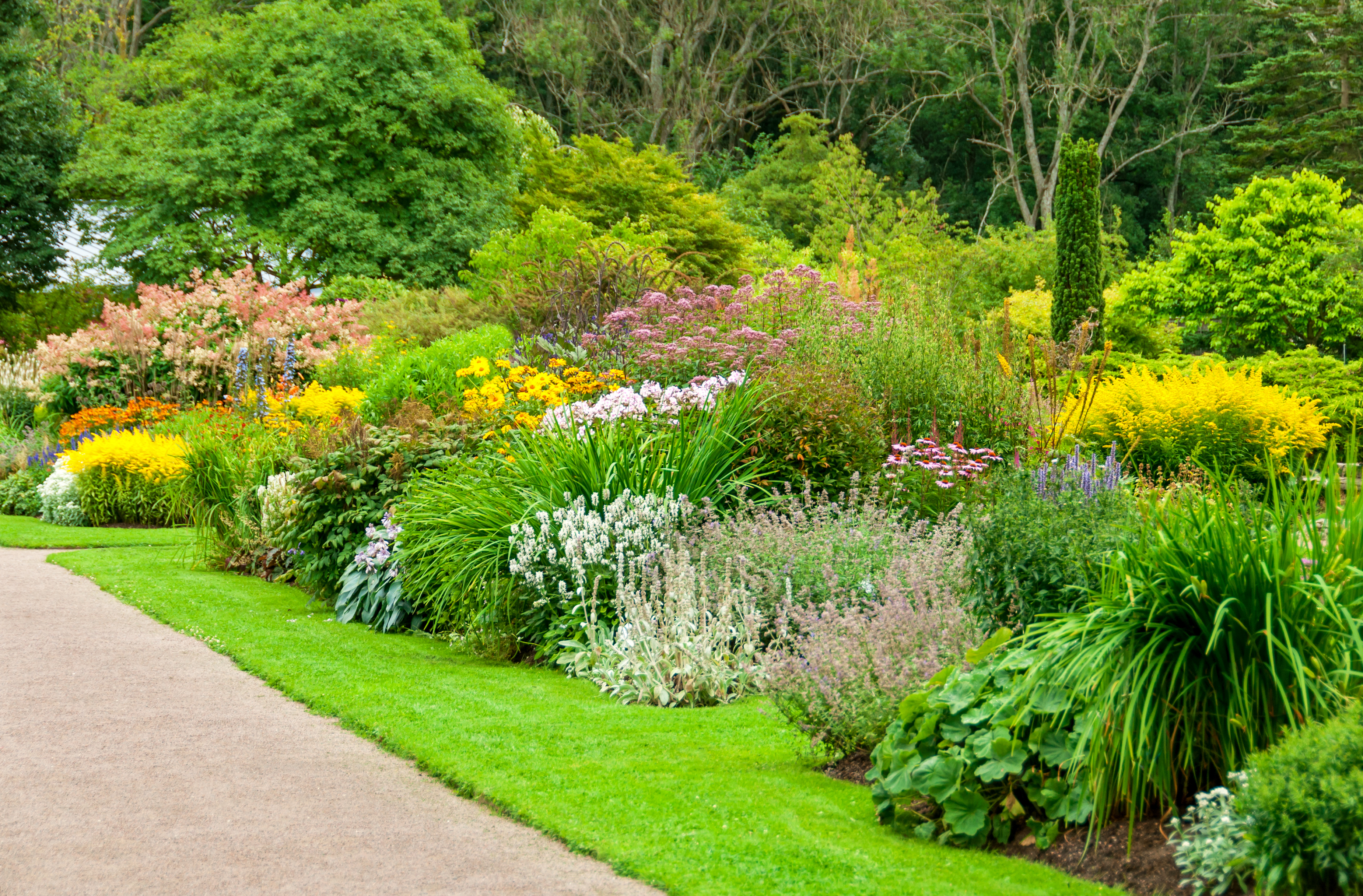 Botanisk hage i Gøteborg
