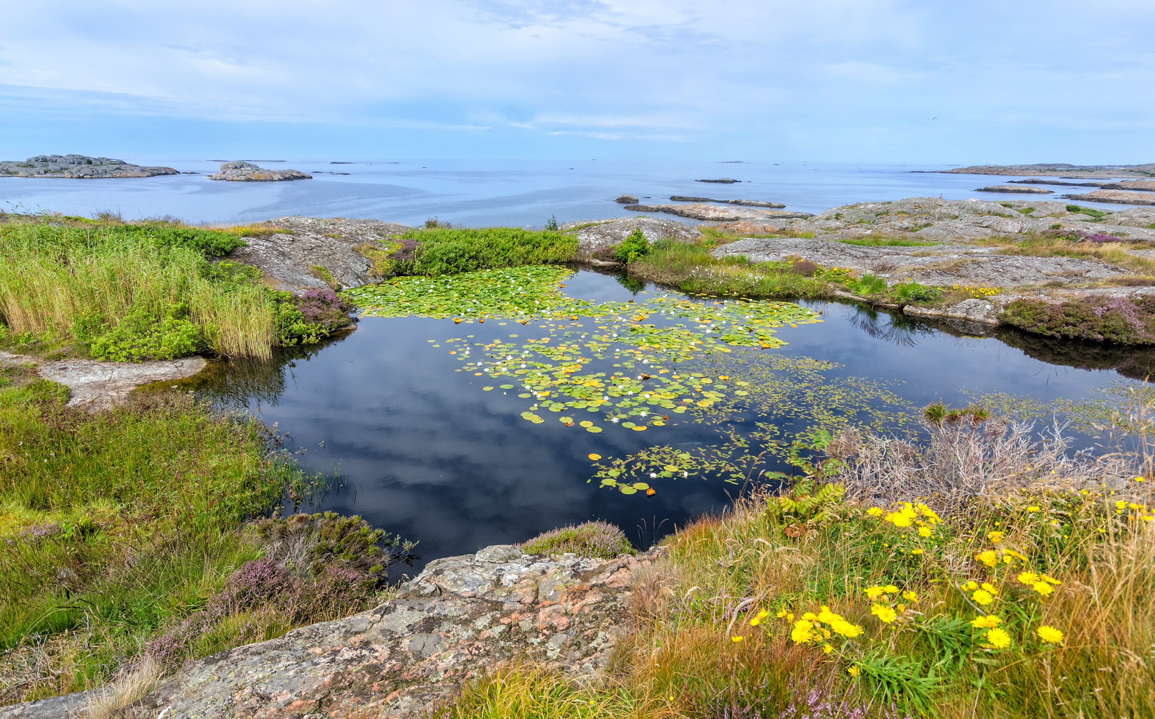Sommeridyll i Gøteborg sin skjærgård