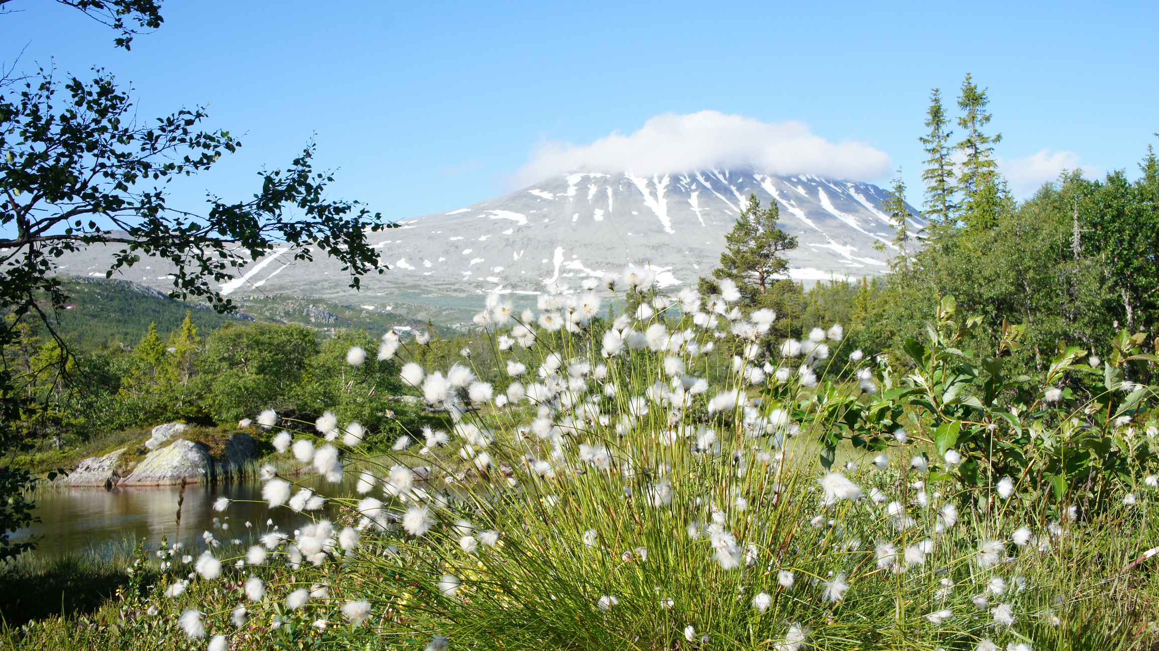 Gaustatoppen i sommerdrakt, Telemark -
Foto: Getty Images