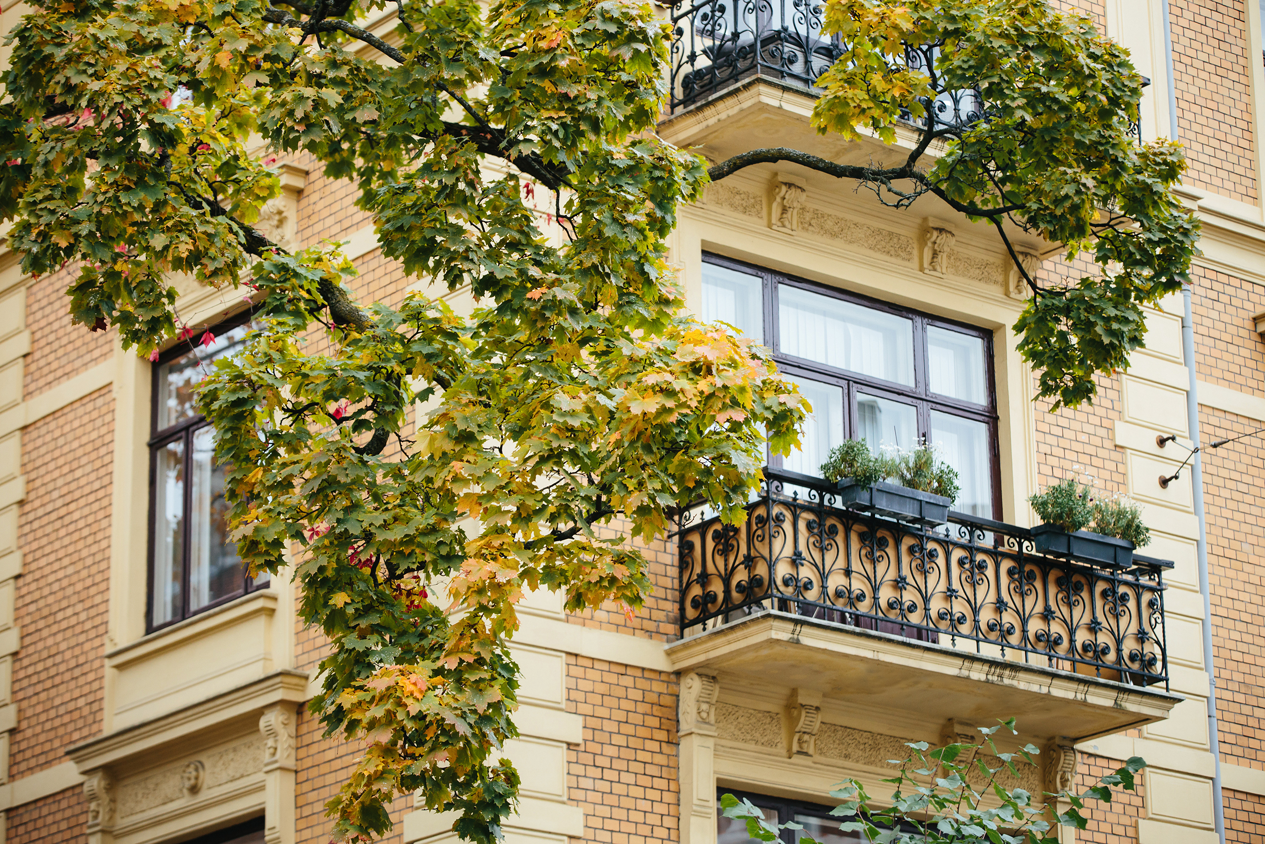 Getty Images 849250470 2