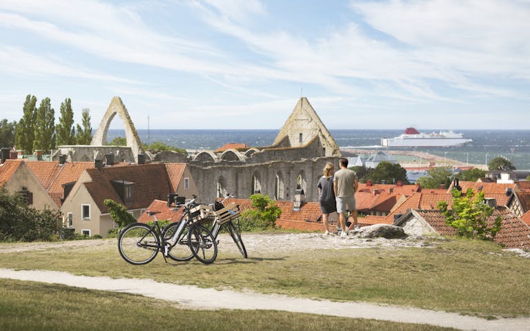 Utsikt mot sjøen på Gotland - Foto: Getty Images