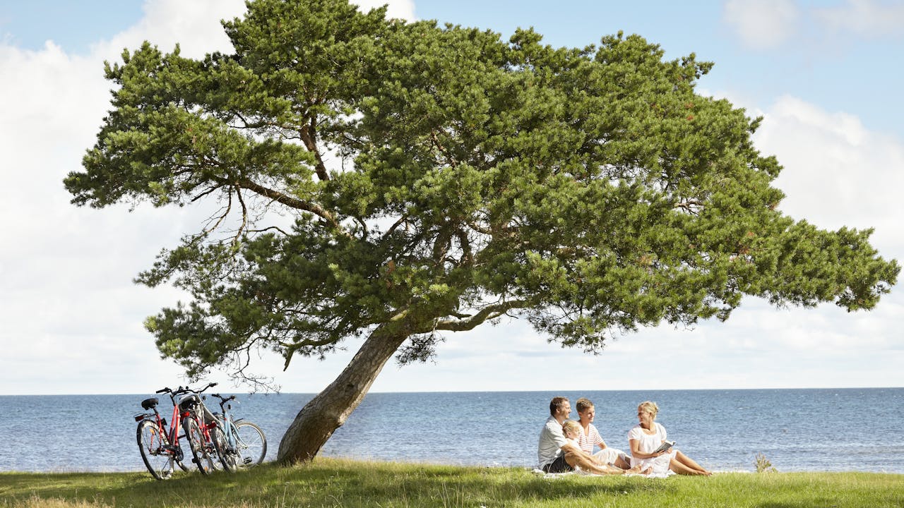 Tips til sykkelferie på Gotland