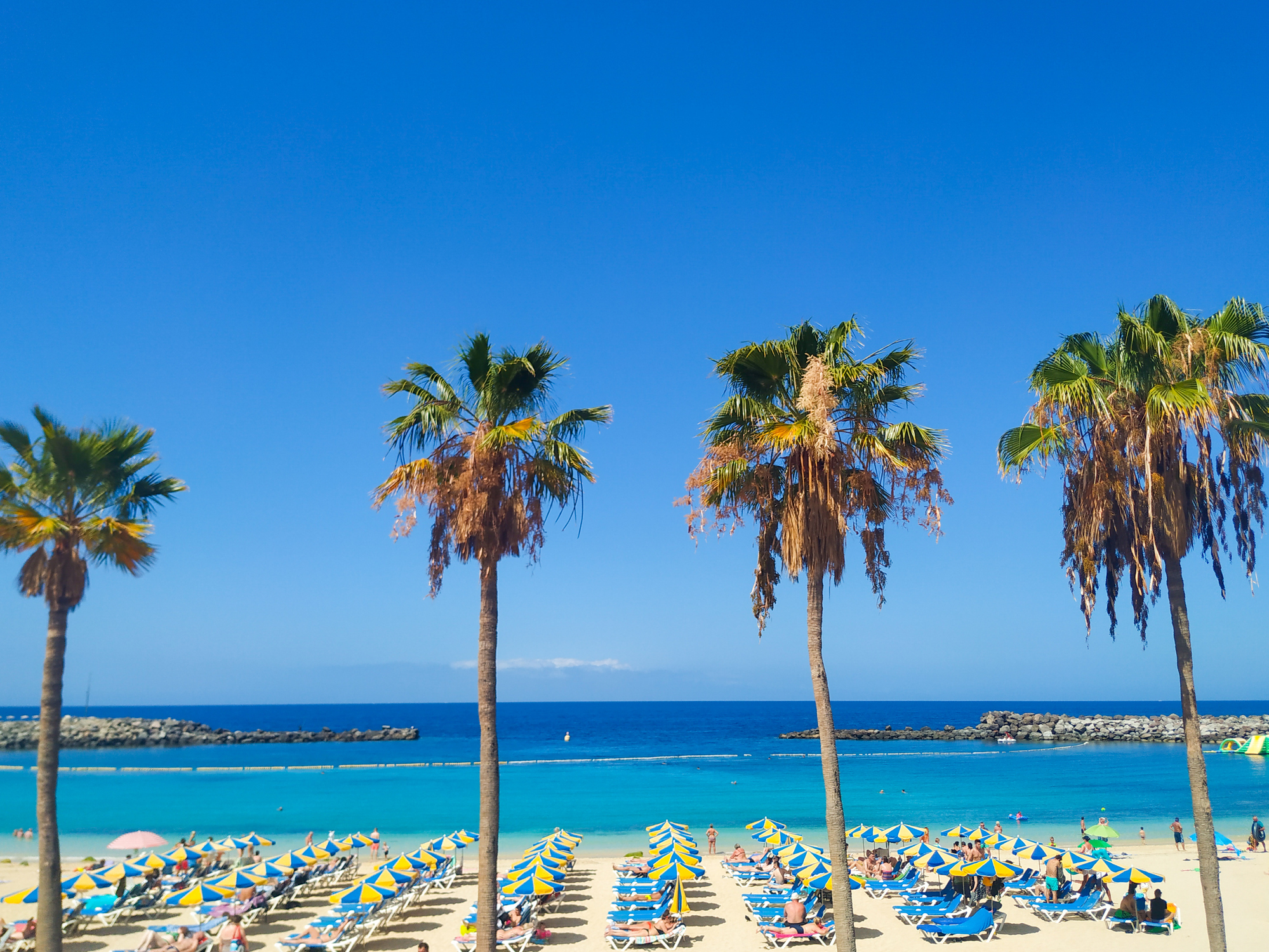 Reisetips til solsikre Gran Canaria
