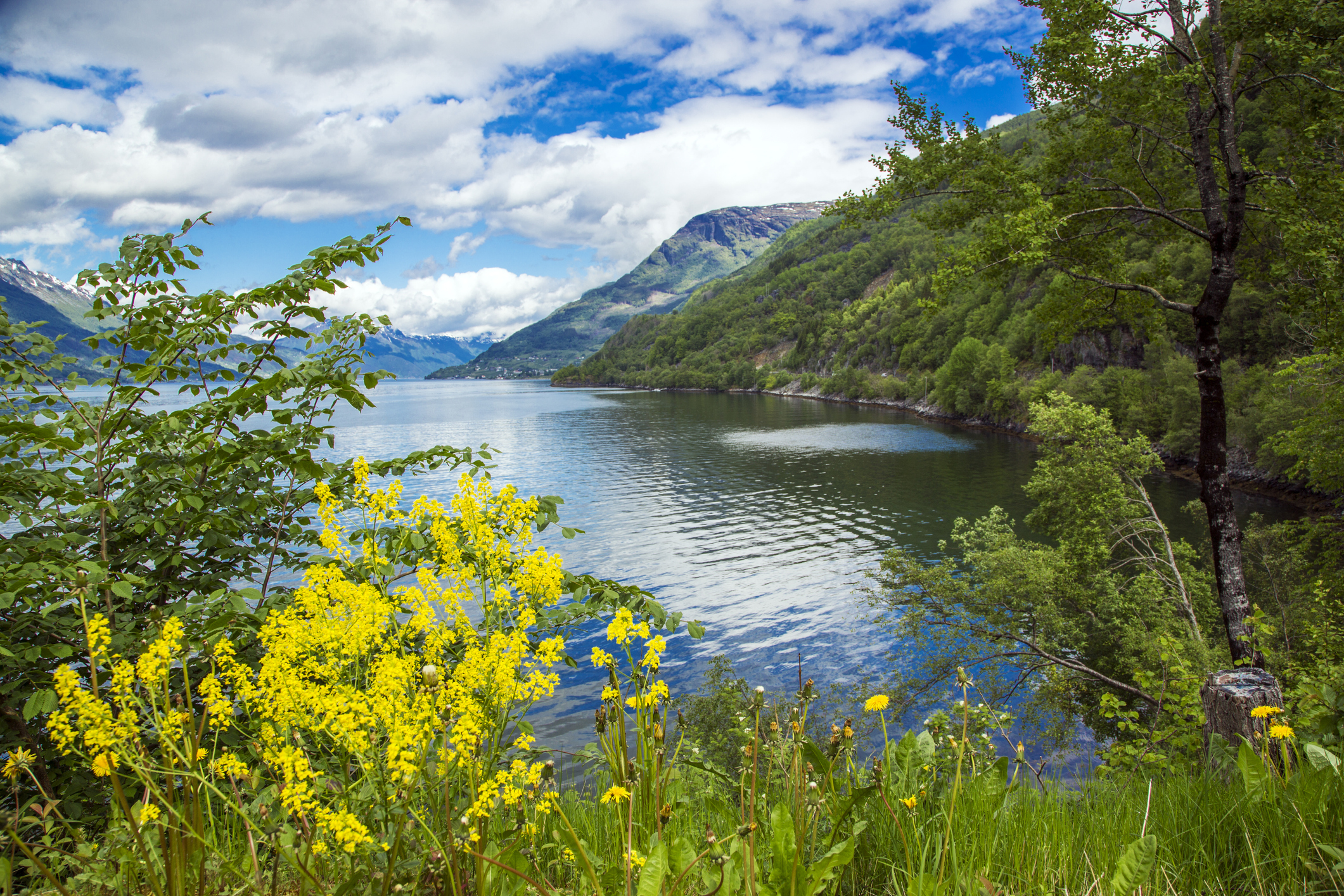 Fantastisk naturlandskap langs Hardangerfjorden - Foto: Getty Images