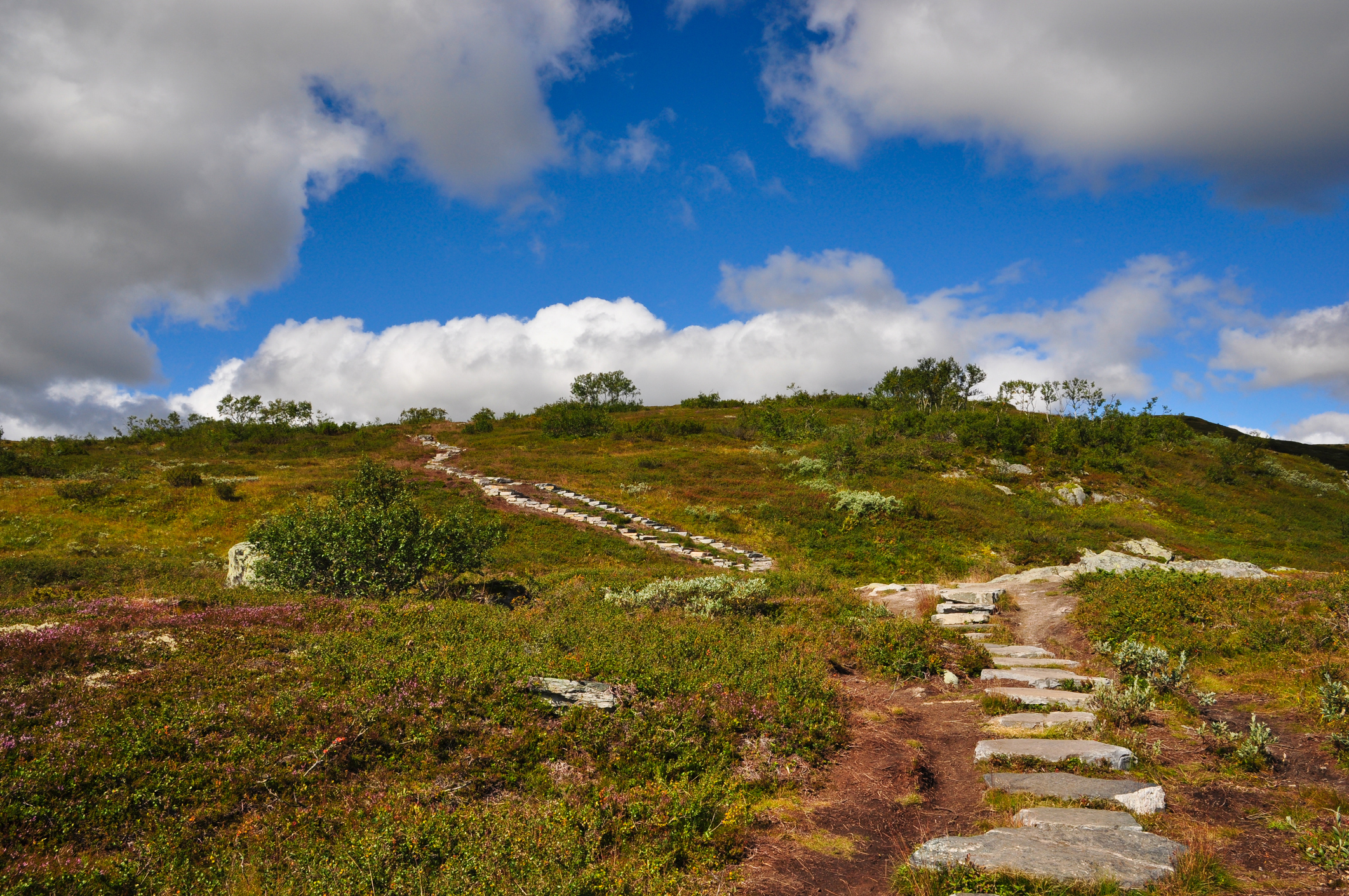 Stien opp til Falkeriset på Hardangervidda, 1096 moh - Foto: Getty Images