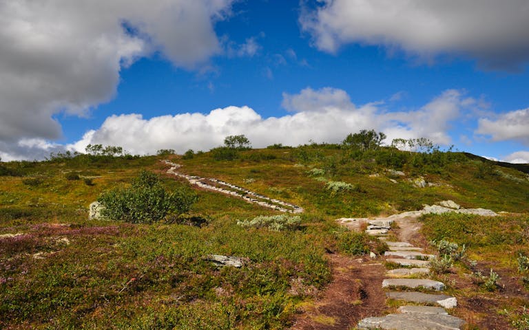 Stien opp til Falkeriset på Hardangervidda, 1096 moh - Foto: Getty Images