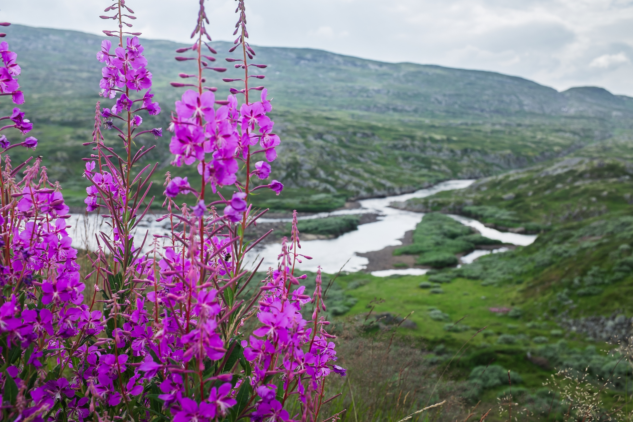 Tips til sykkelturer på Hardangervidda