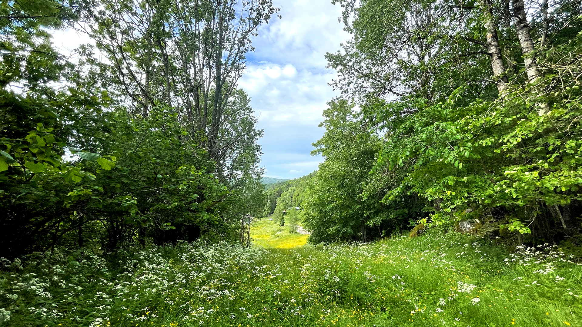 ROLIG: Stillheten og nærhet til naturen er noe hele familien setter stor pris på.