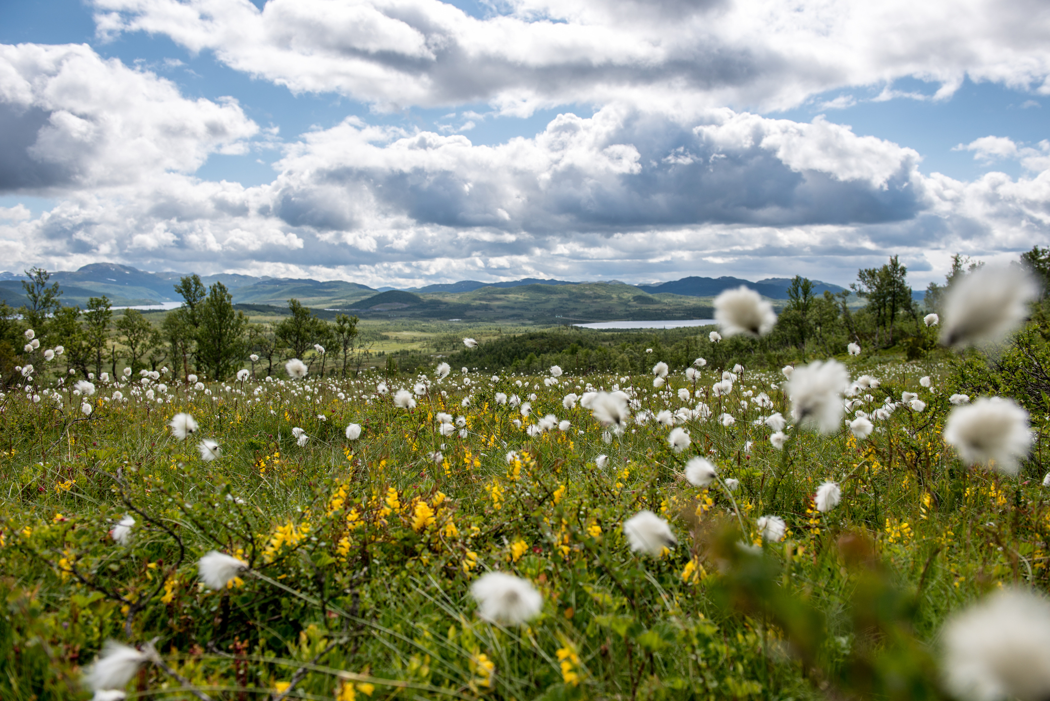 Friluftsliv i Kongsberg og Numedal