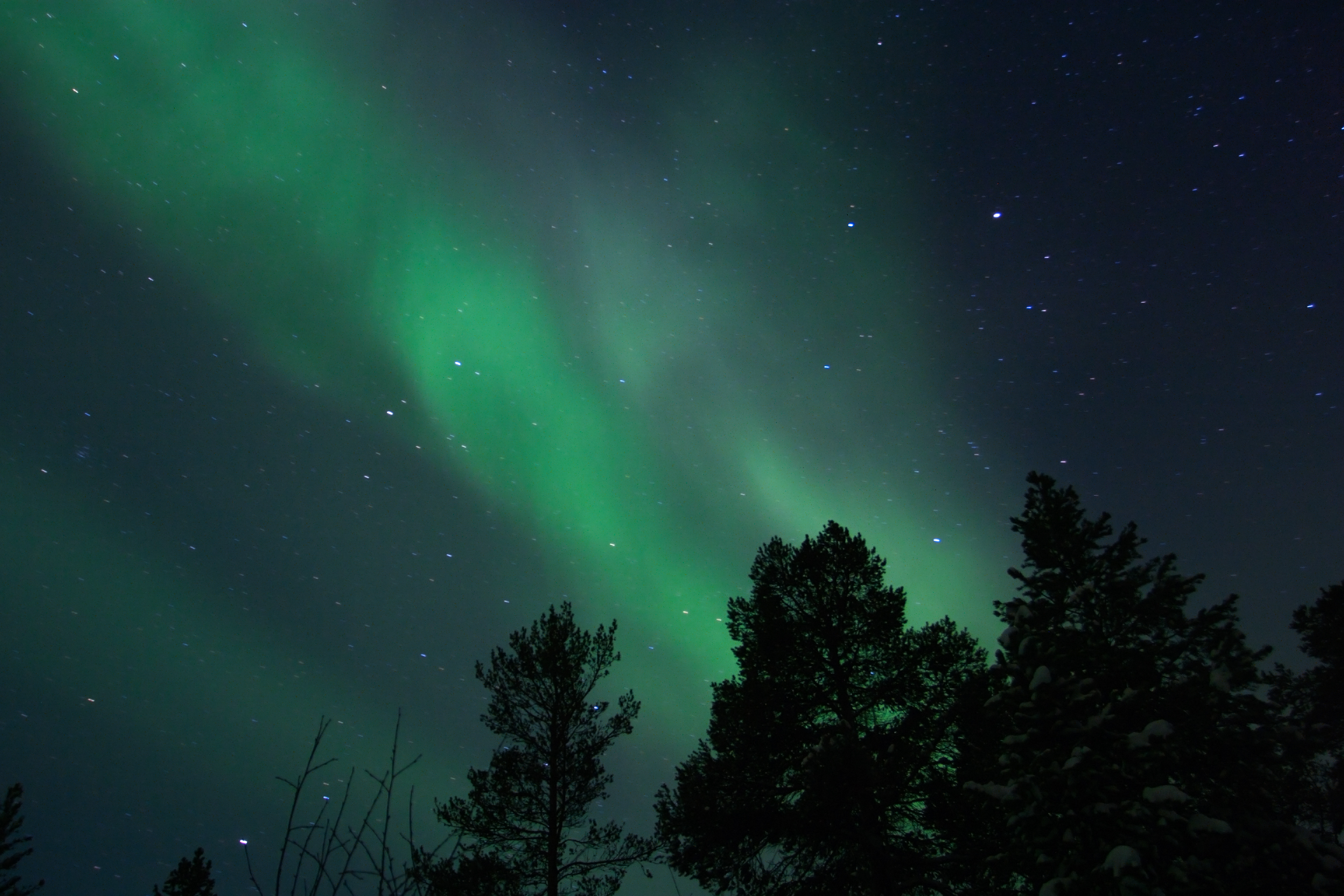 Bilde av nordlys over Karasjok