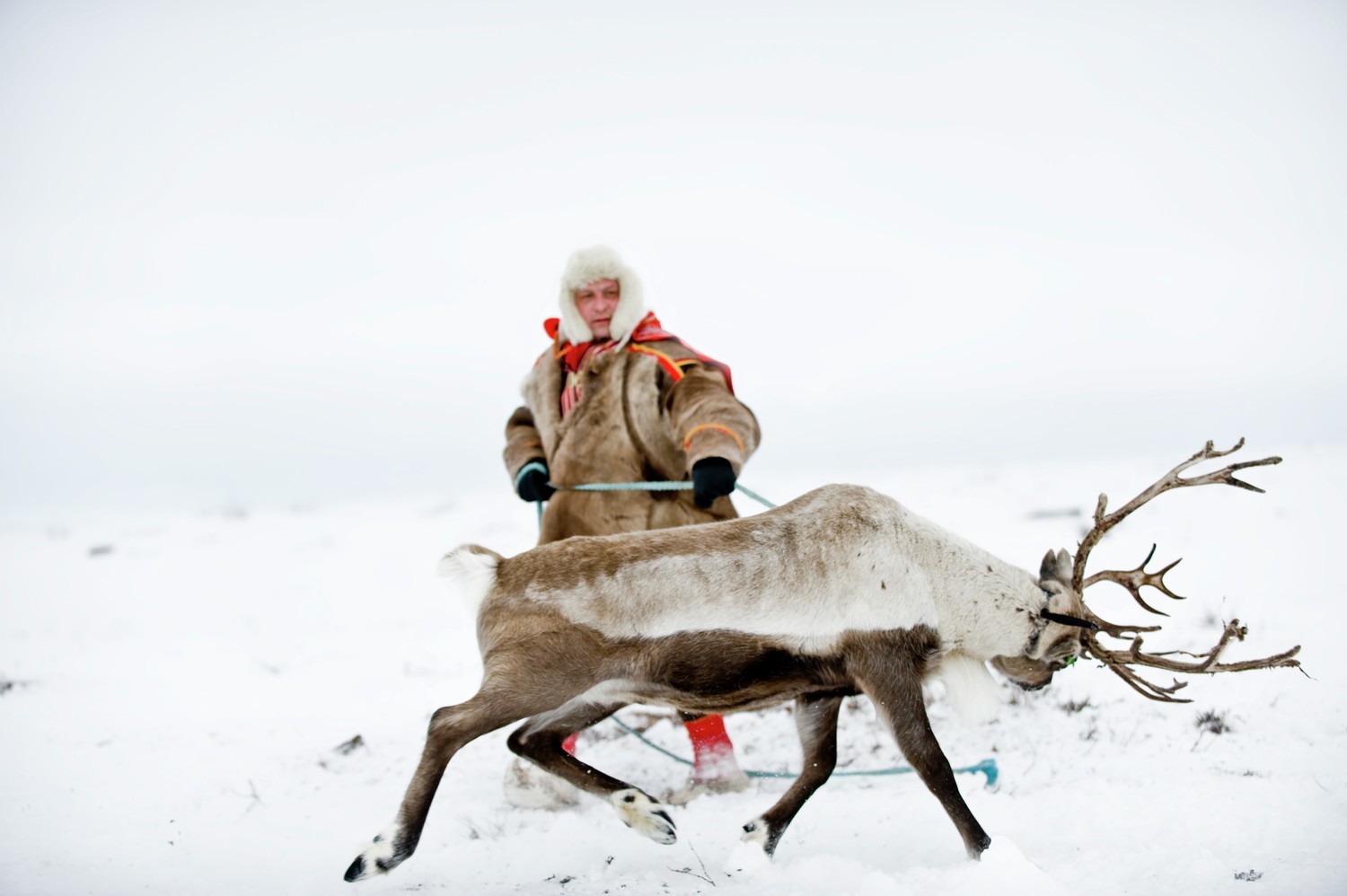 Bilde av Reindriftsame i Kautokeino
