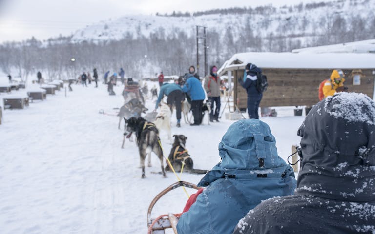 Klar for hundekjøring i Kirkenes -
Foto: Getty Images