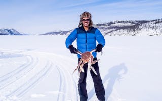 Opplev krabbesafari i Kirkenes, Finnmark