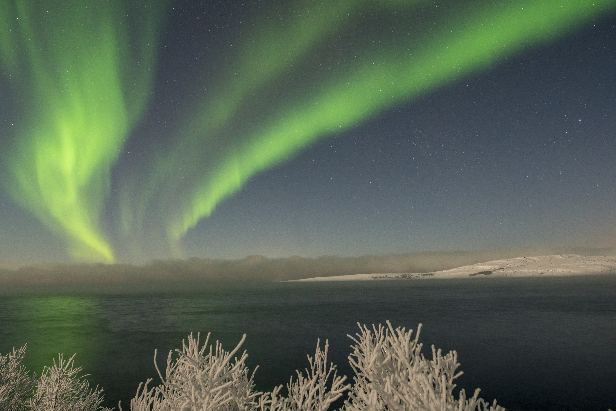 Opplev nordlyset i Kirkenes, Finnmark