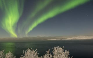 Opplev nordlyset i Kirkenes, Finnmark
