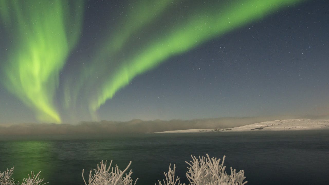 Opplev nordlyset i Kirkenes, Finnmark