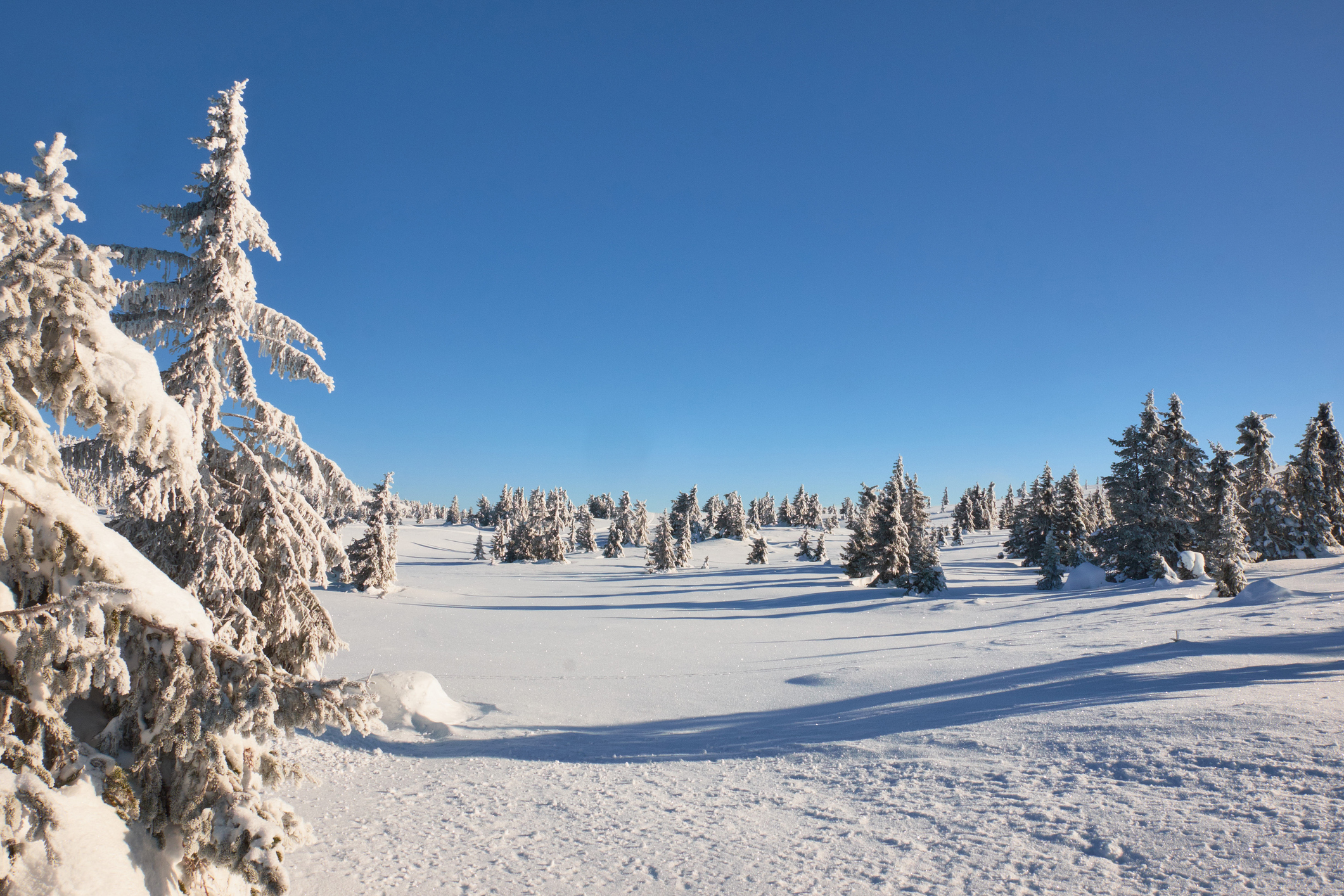 Kvitfjell vinterland -
Foto: Getty Images