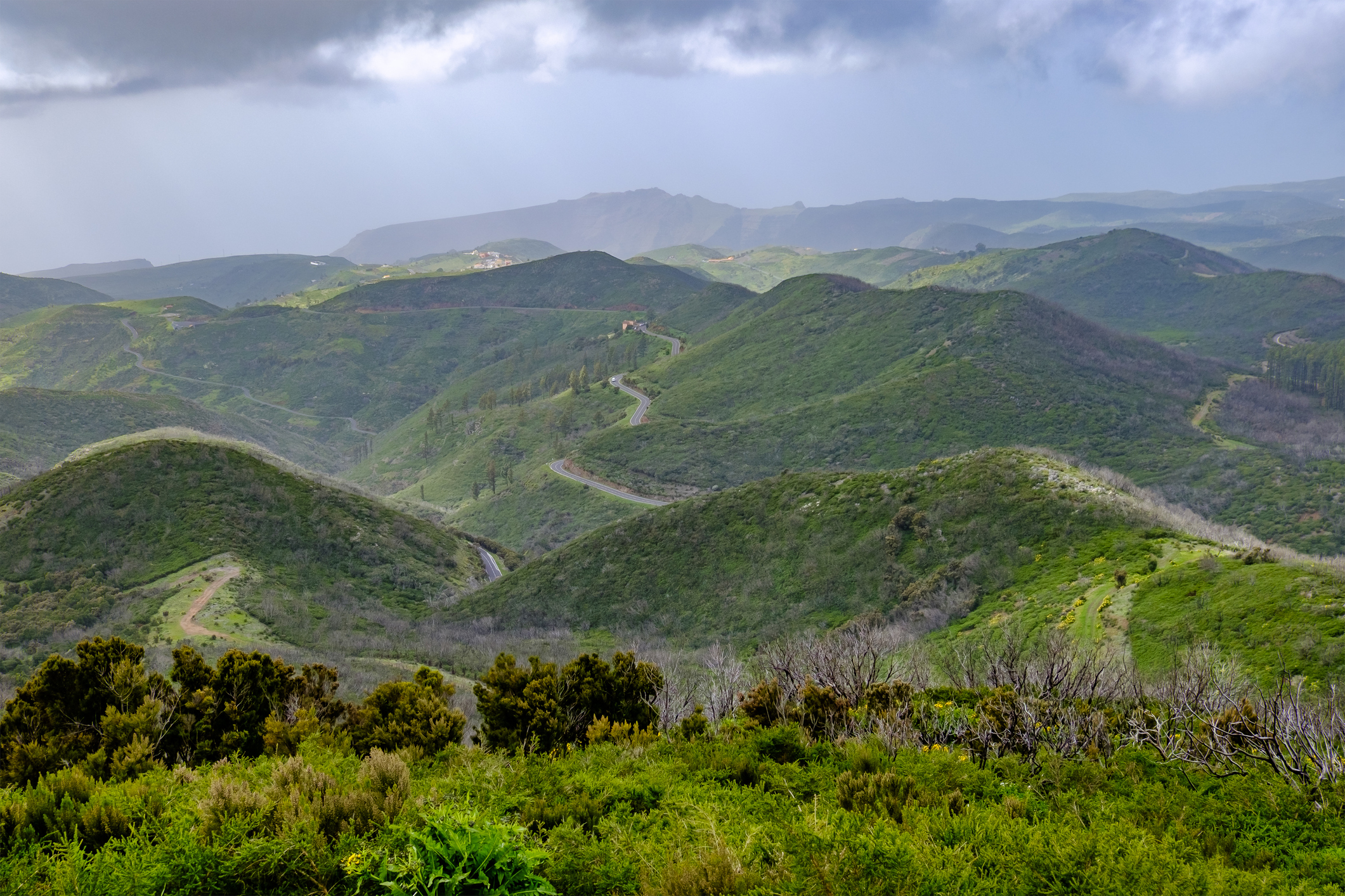 Utsikt over La Gomera fra Alto de Garajonay - Foto: Getty Images