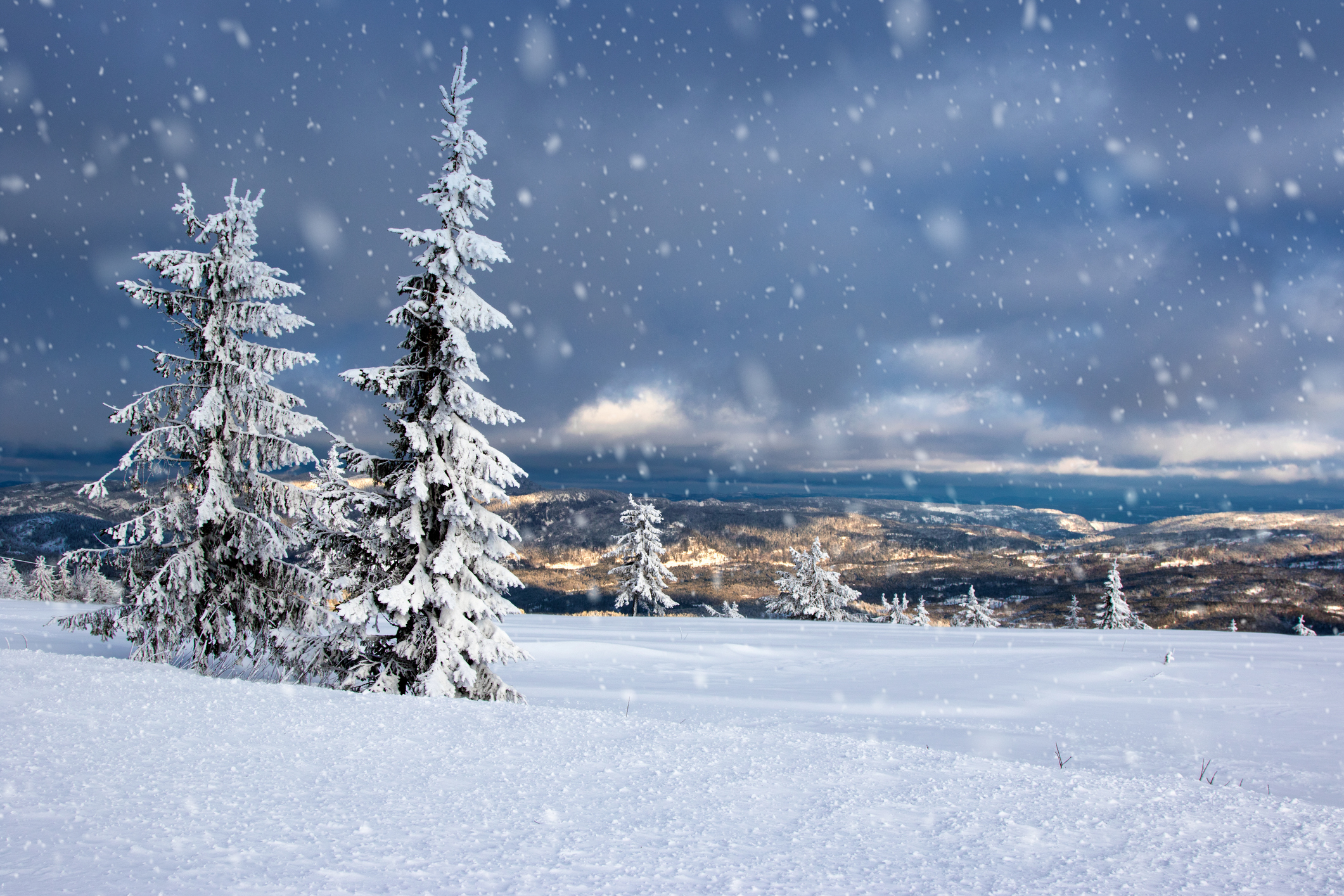 Lifjell - tips til skiferie og fjellturer