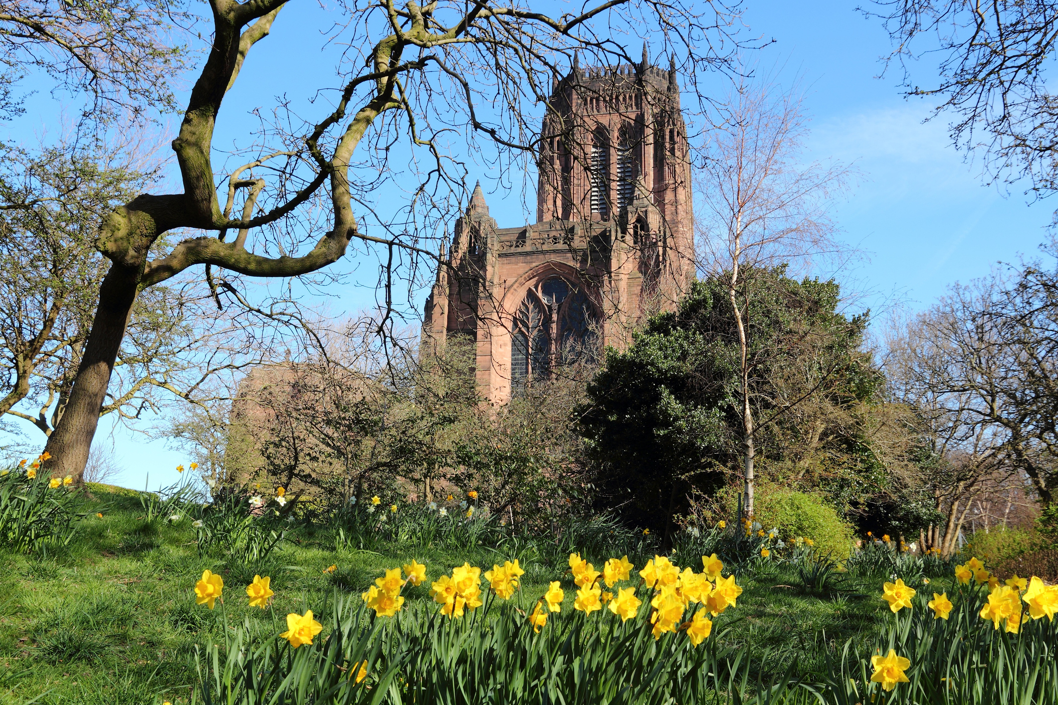 Bilde av Liverpool Cathedral
