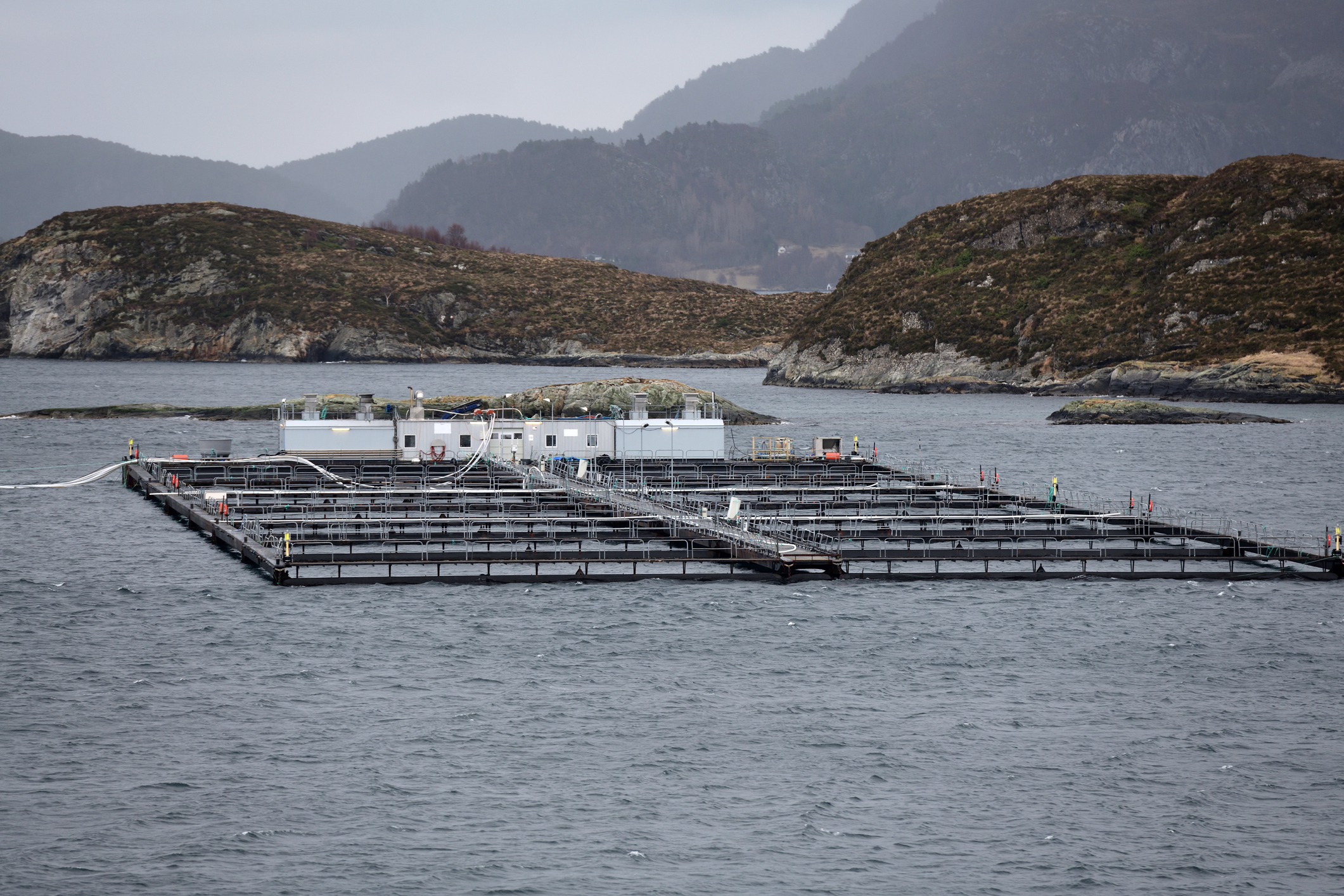 Jobbe og bo i Møre og Romsdal. Alt du trenger å vite