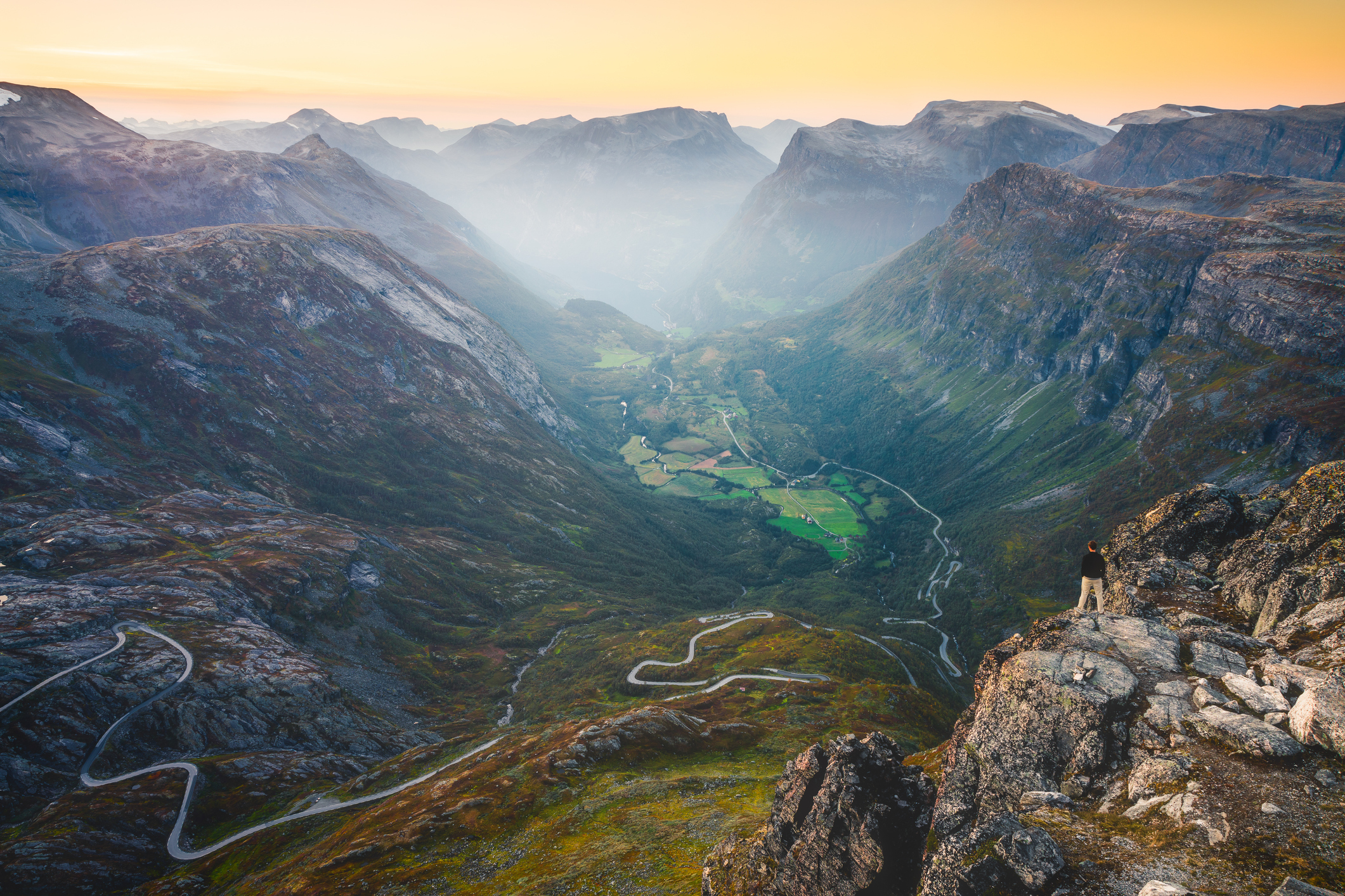 Hvorfor er det så mange Toyotaer?