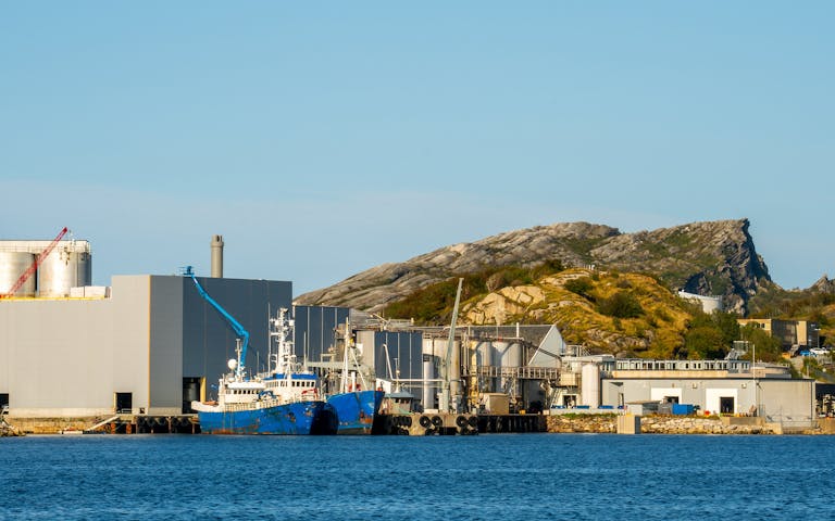 Fiskeoljefabrikk i havna i Bodø, Nordland - Foto: Getty Images