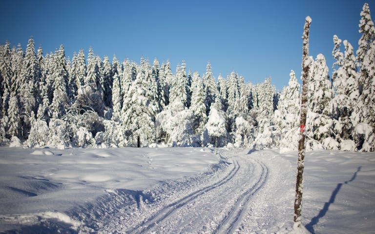 Milevis med skiløyper i marka rundt Oslo -
Foto: Getty Images