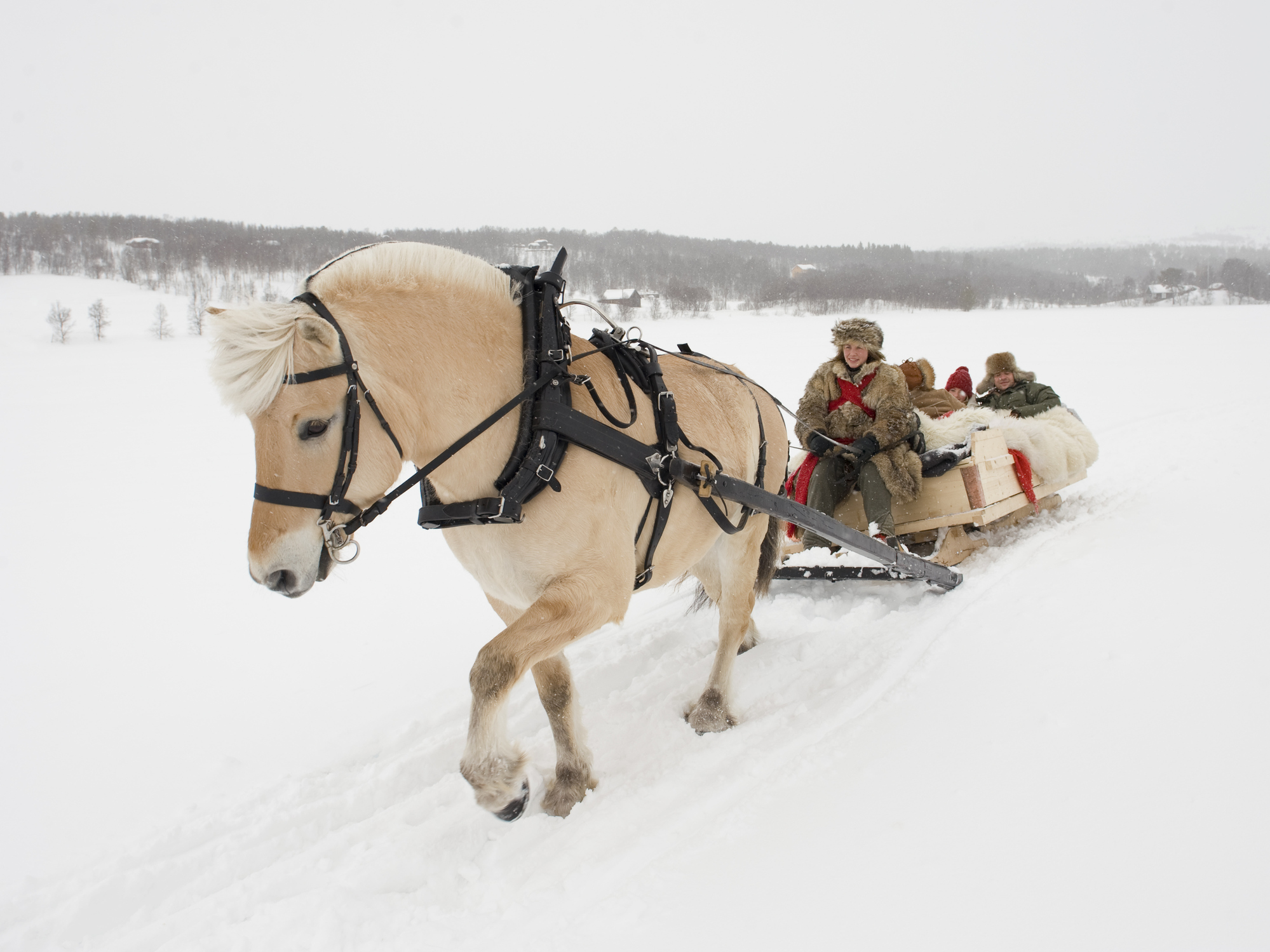 Opplev kanefart i Røros -
Foto: Getty Images