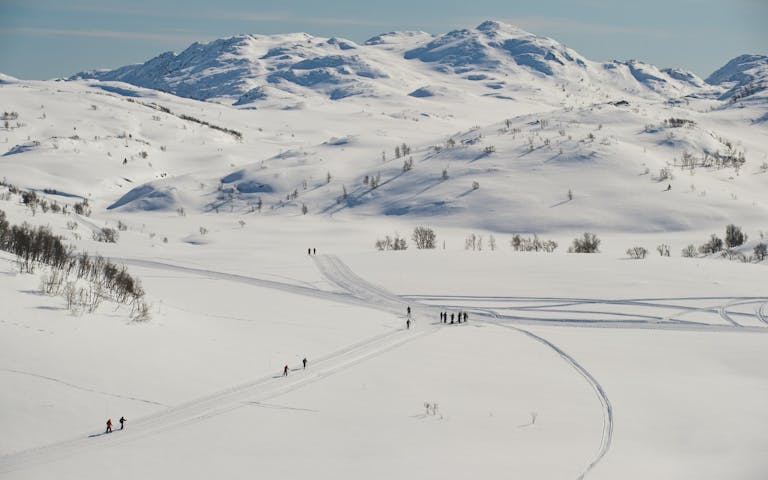 Vinteridyll på Rauland i Telemark -
Foto: CH - Visitnorway.com