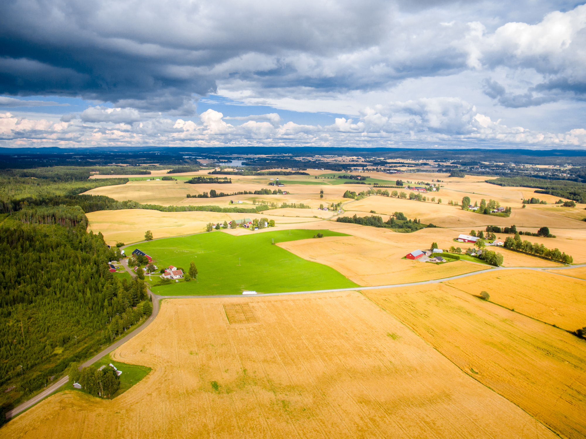 Jordbrukskommunen Nes på Romerike i Viken fylke - Foto: Getty Images