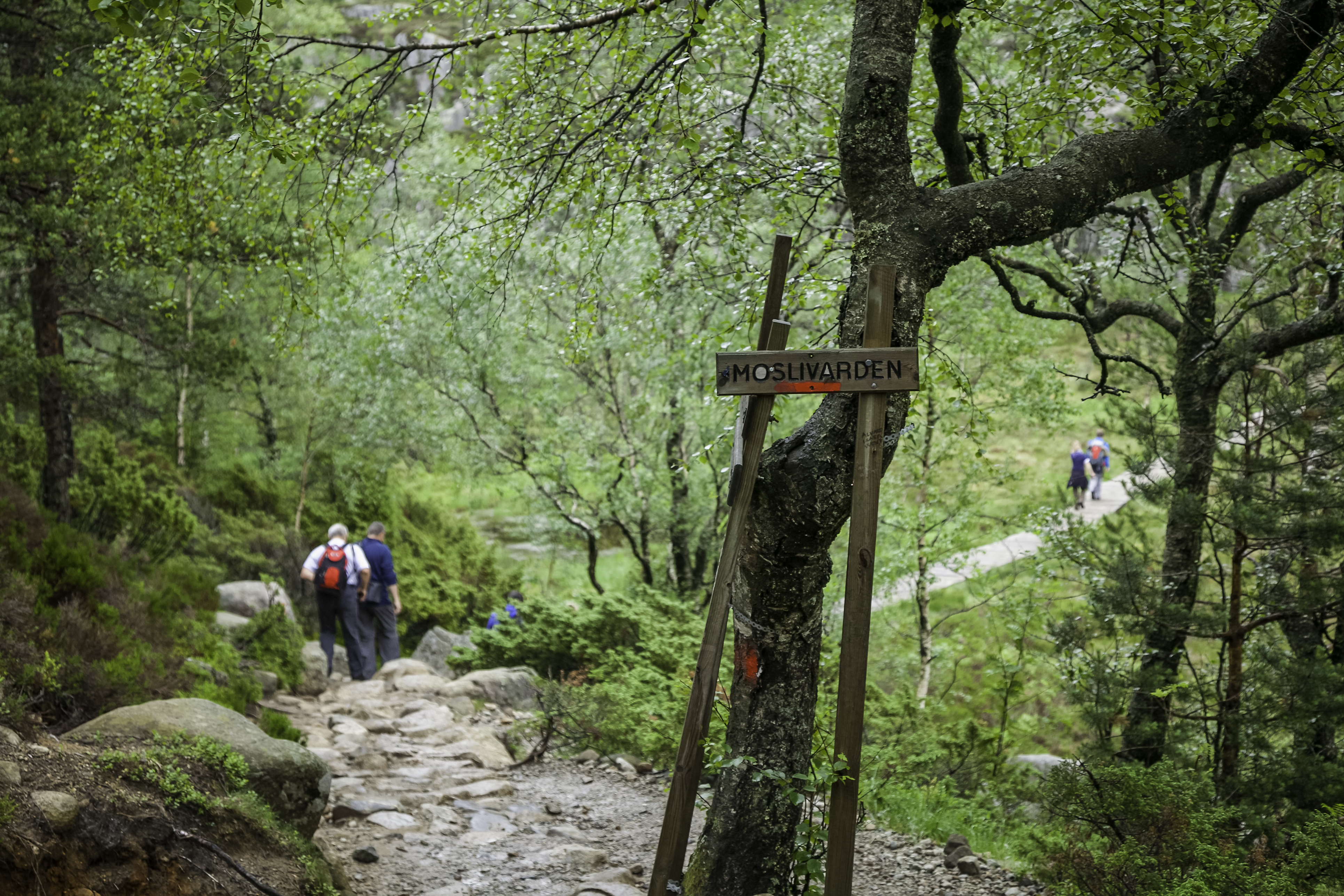 Tursti til Kjeragbolten i Ryfylke